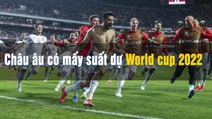 châu âu có mấy suất dự world cup 2022.