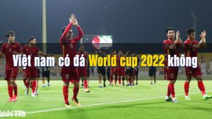 việt nam có đá world cup 2022 không
